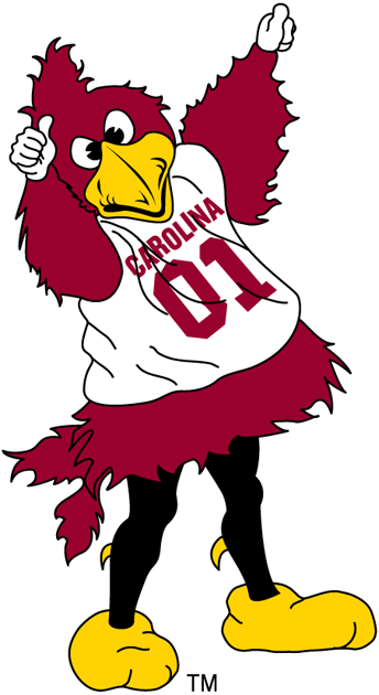 South Carolina Gamecocks 2002-Pres Mascot Logo t shirts iron on transfers